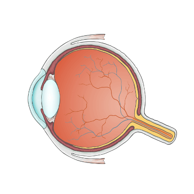 Augenlasern in Augsburg - Augenklinik