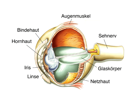 Augenlasern in Berlin - Augenklinik