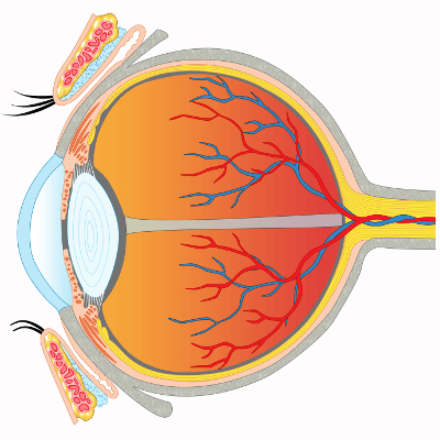 Augenlasern in Bratislava - Augenklinik