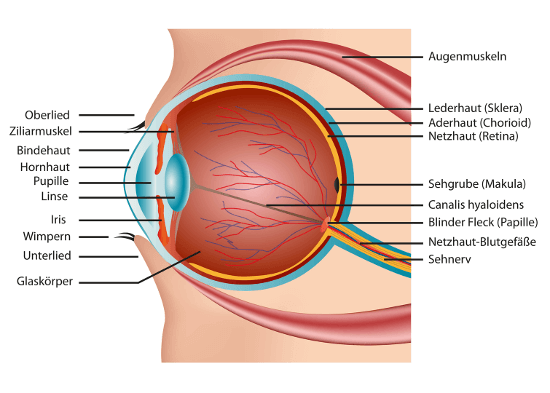 Augenlasern in Deutschland - Augenklinik