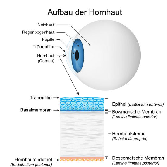 Augenlasern in Dresden - Augenklinik