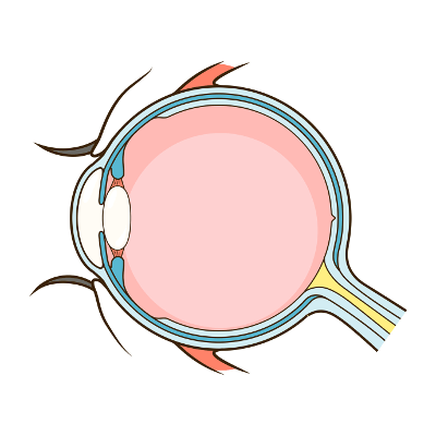 Augenlasern in Freiburg - Augenklinik