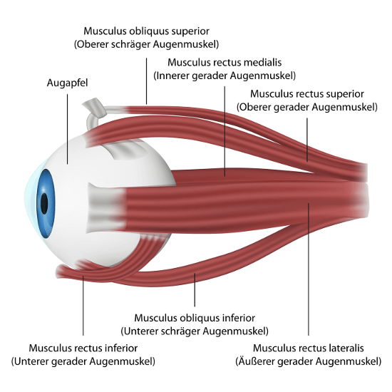 Augenlasern in München - Augenklinik