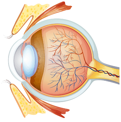 Augenlasern in der Türkei - Augenklinik